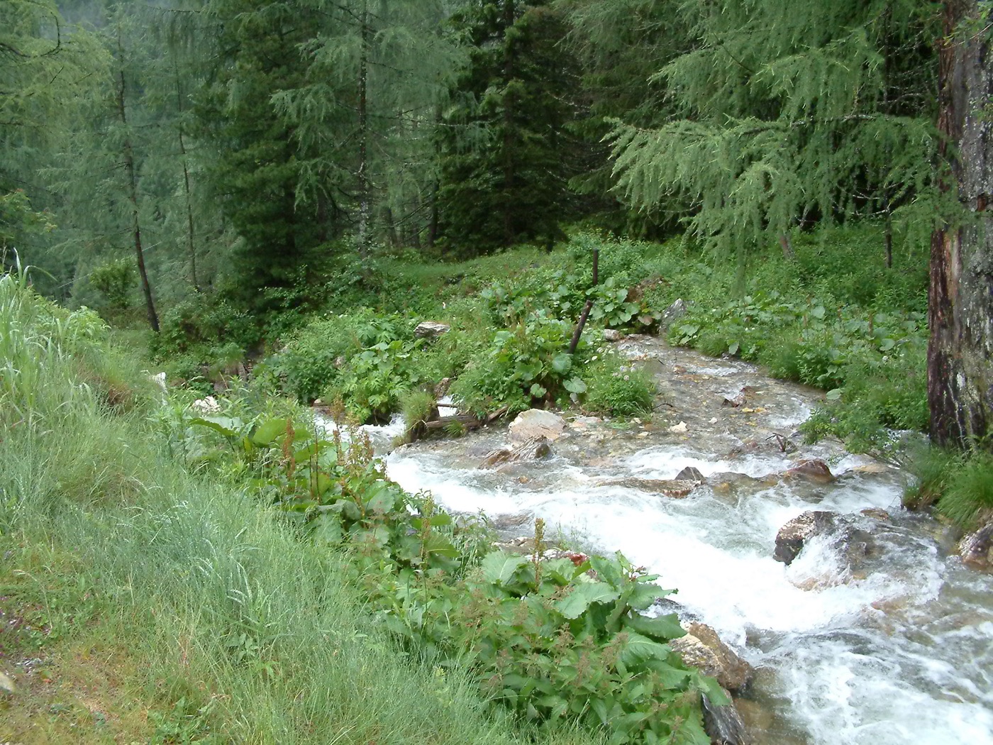 Katschberg ski resort in winter